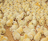 We’ve created the biggest variety of products for you