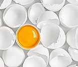 Before we created this online farm supply store.